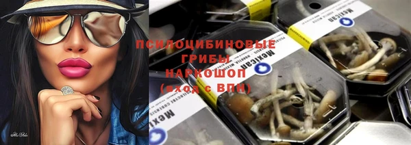 шишки Балабаново