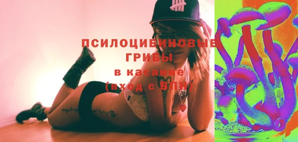 шишки Балабаново