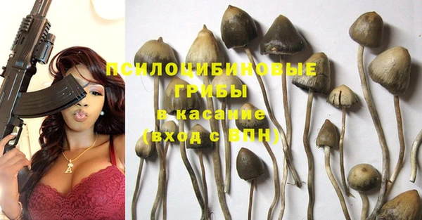 шишки Балабаново