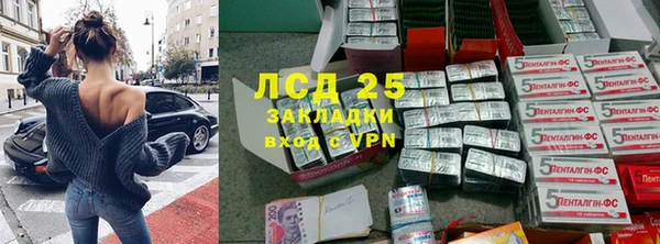 шишки Балабаново