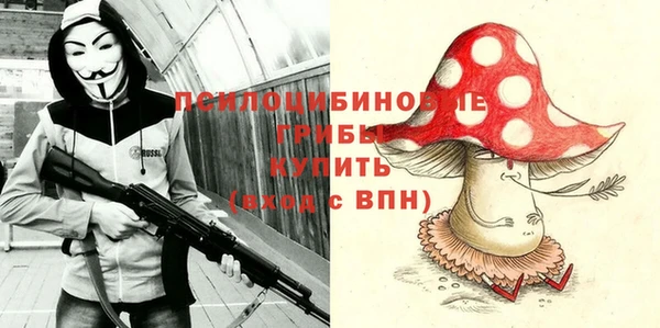 дмт Балахна