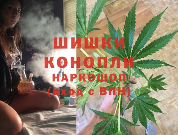 шишки Балабаново