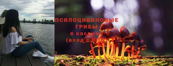 шишки Балабаново